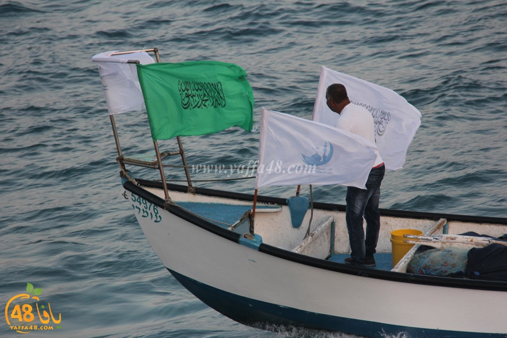 iste3rad sayaden yaffa (41).JPG